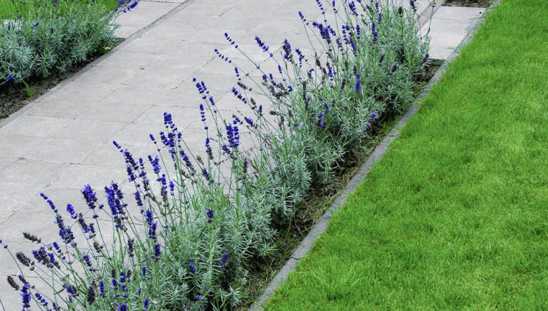 Waarom opsluitbanden plaatsen in je eigen tuin?