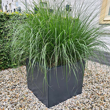 Gepoedercoat staal plantenbak 30x30x30 cm ( RAL7016 )